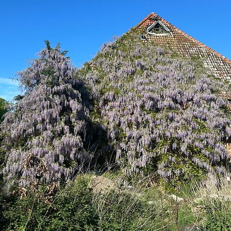 Kornmuehle Doppelzimmer Muehlenstein Mellenthin Exteriör bild